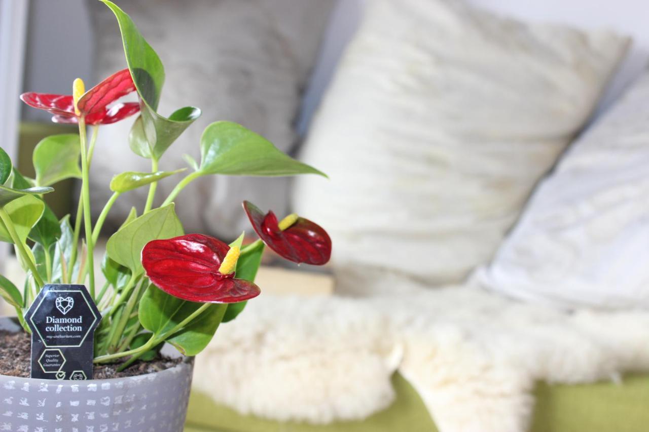 Apartment Ajda Udbina ภายนอก รูปภาพ