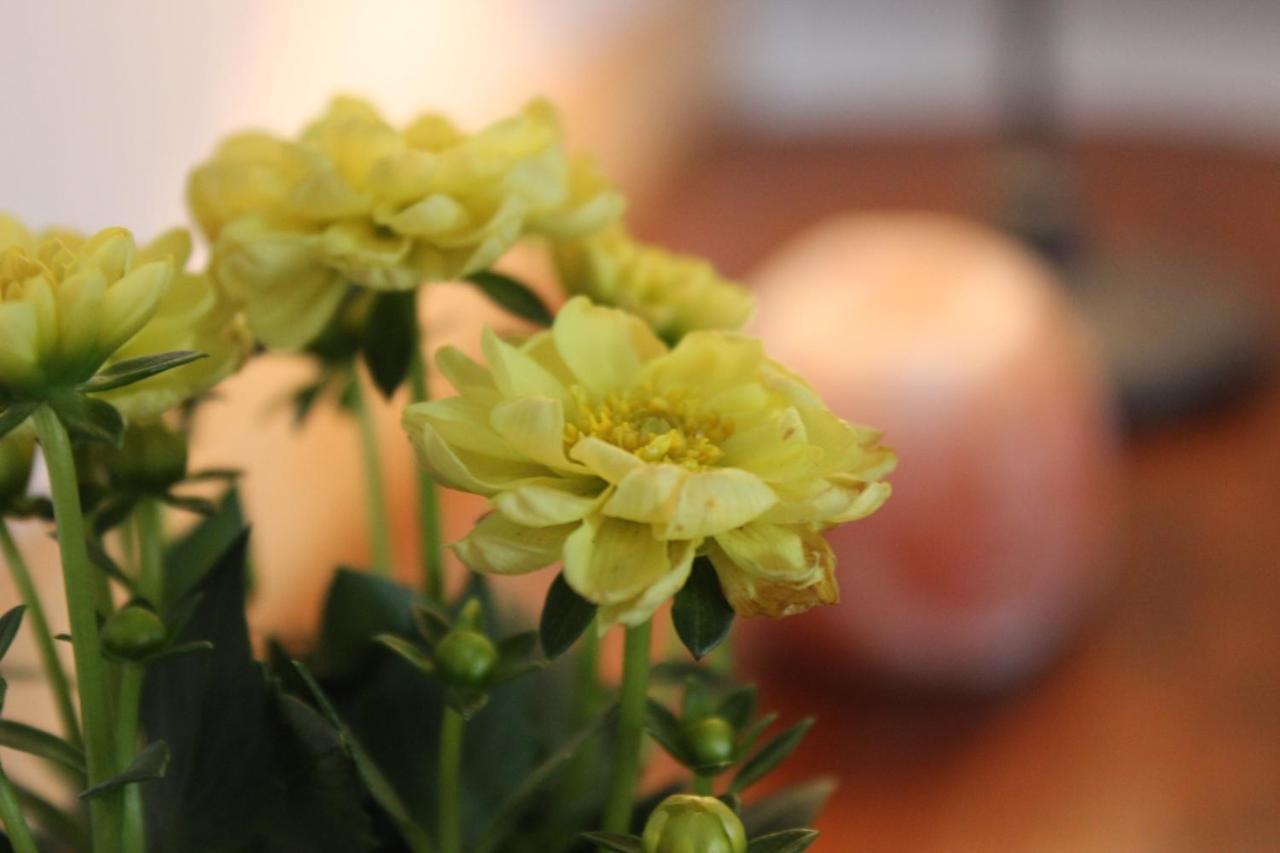 Apartment Ajda Udbina ภายนอก รูปภาพ